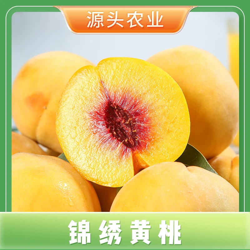 【山东锦绣黄桃】毛桃新鲜当季水果黄桃桃子 4.5斤XB