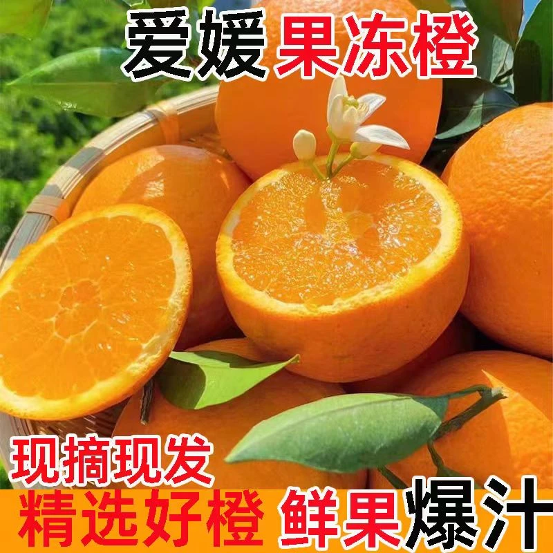 大连神农谷爱媛果冻橙橙8斤礼盒