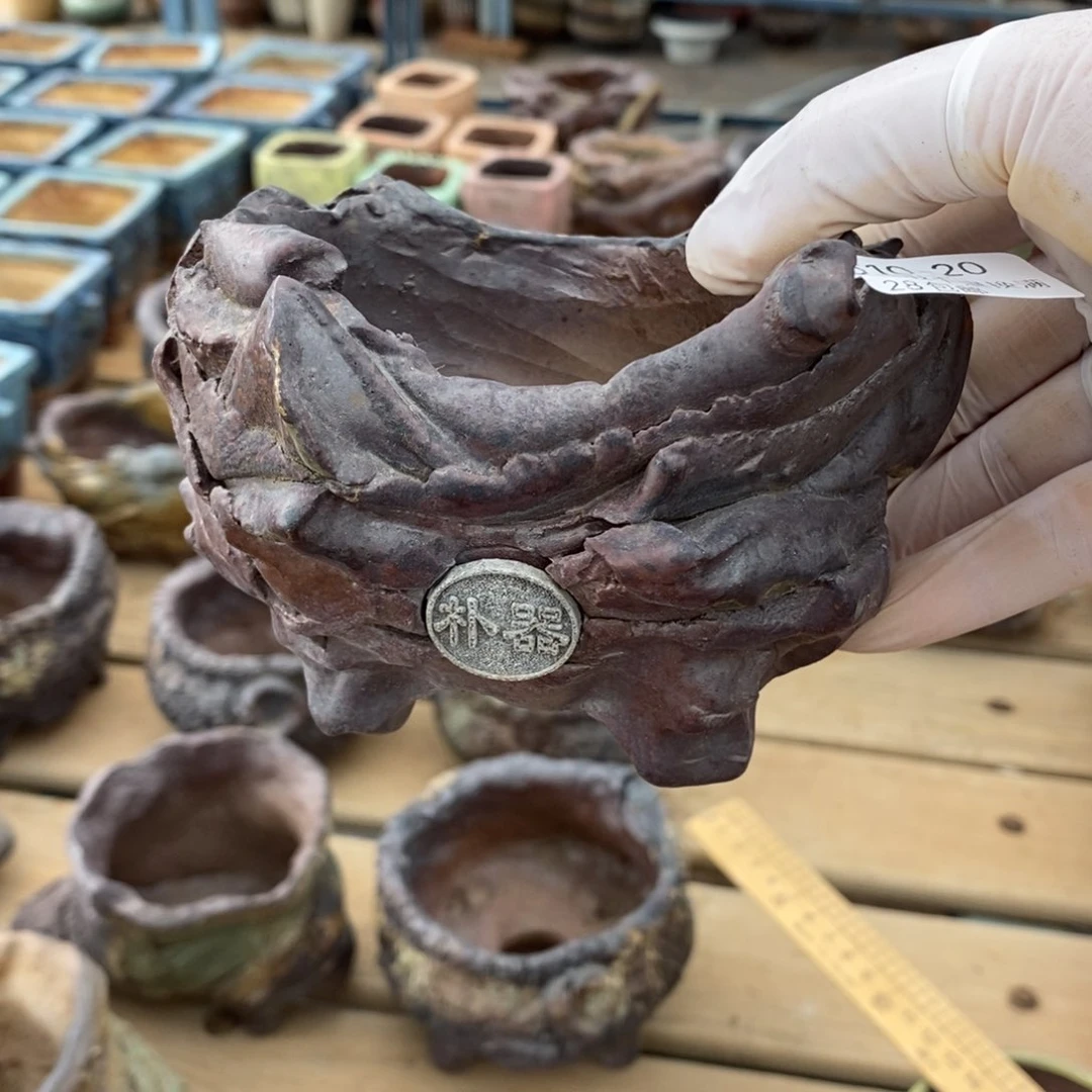 20号多肉盆口径8.5