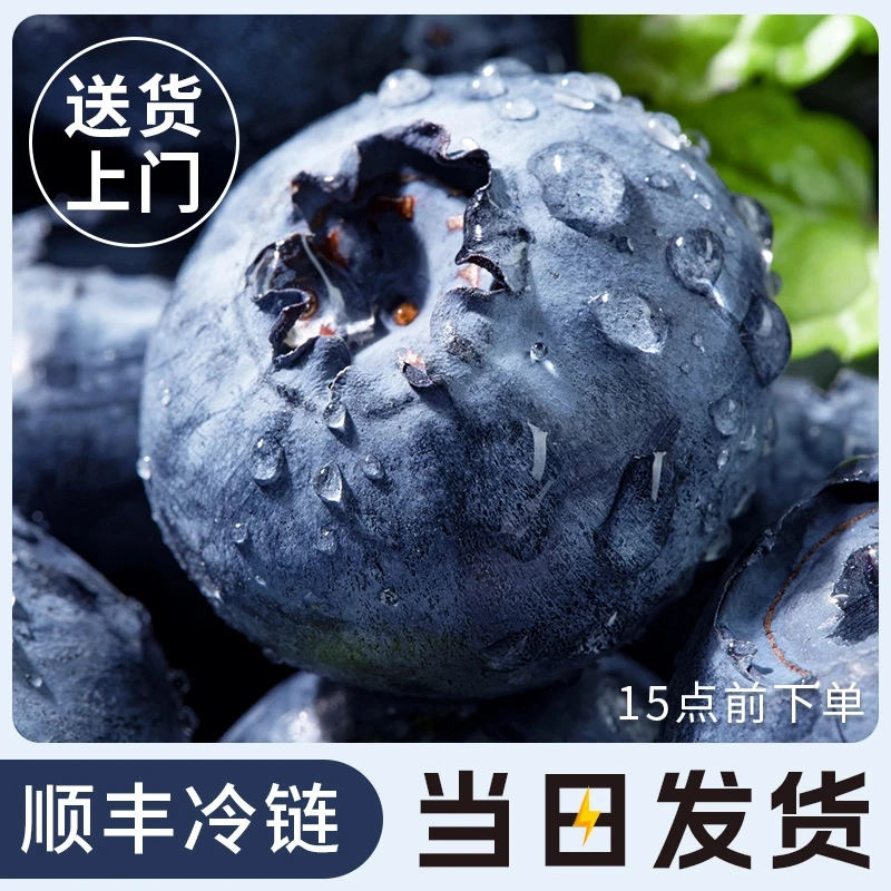 【只卖精品】大颗蓝莓鲜果新鲜水果当季大蓝莓怡颗孕妇整箱包邮顺丰