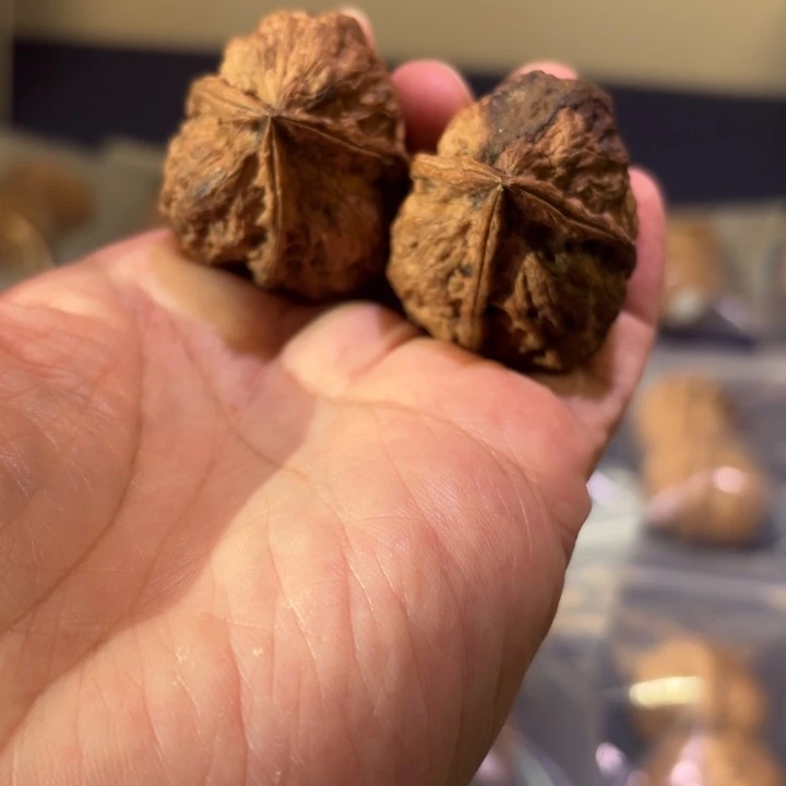 文玩核桃吊坠铁三角