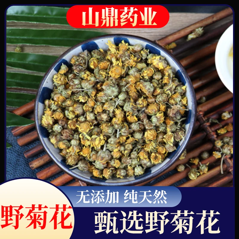 山鼎药业正宗【野菊花】当季新货野菊花菊花茶纯天然搭配枸杞泡水