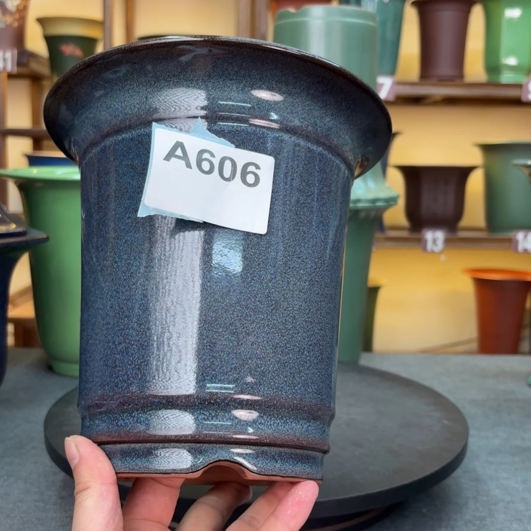 W***8紫砂花盆兰花158526885658