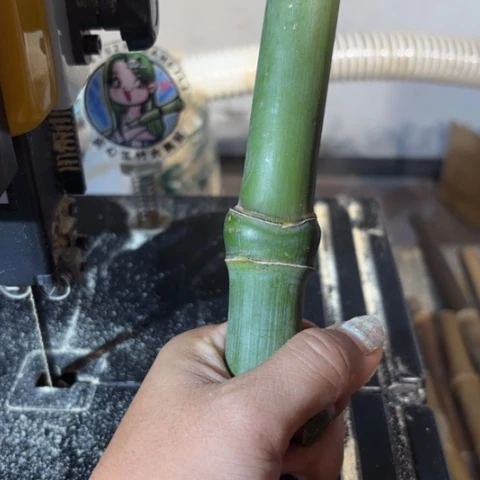 林***青实心竹竹竹竹竹竹竹竹竹