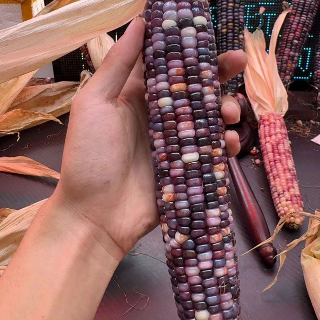 俗***缘柏香籽/百香籽吊坠