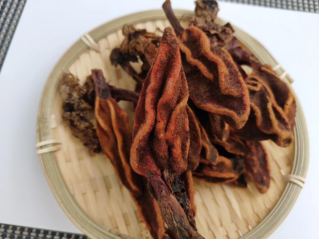 大山里的山货  春天的草