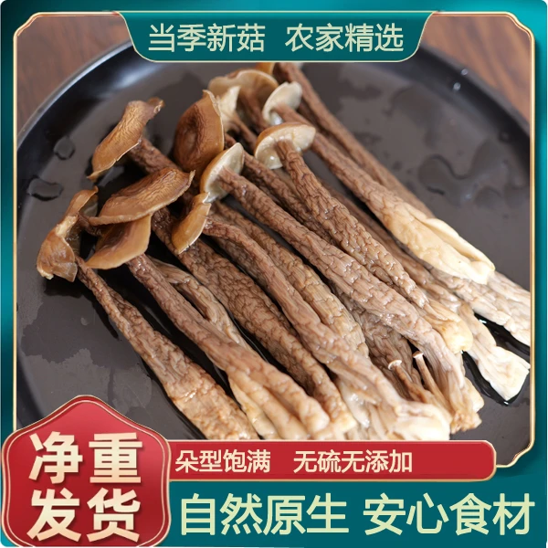 产地直供 鹿茸菇干货 营养菌菇类散装 瓶栽香味浓郁