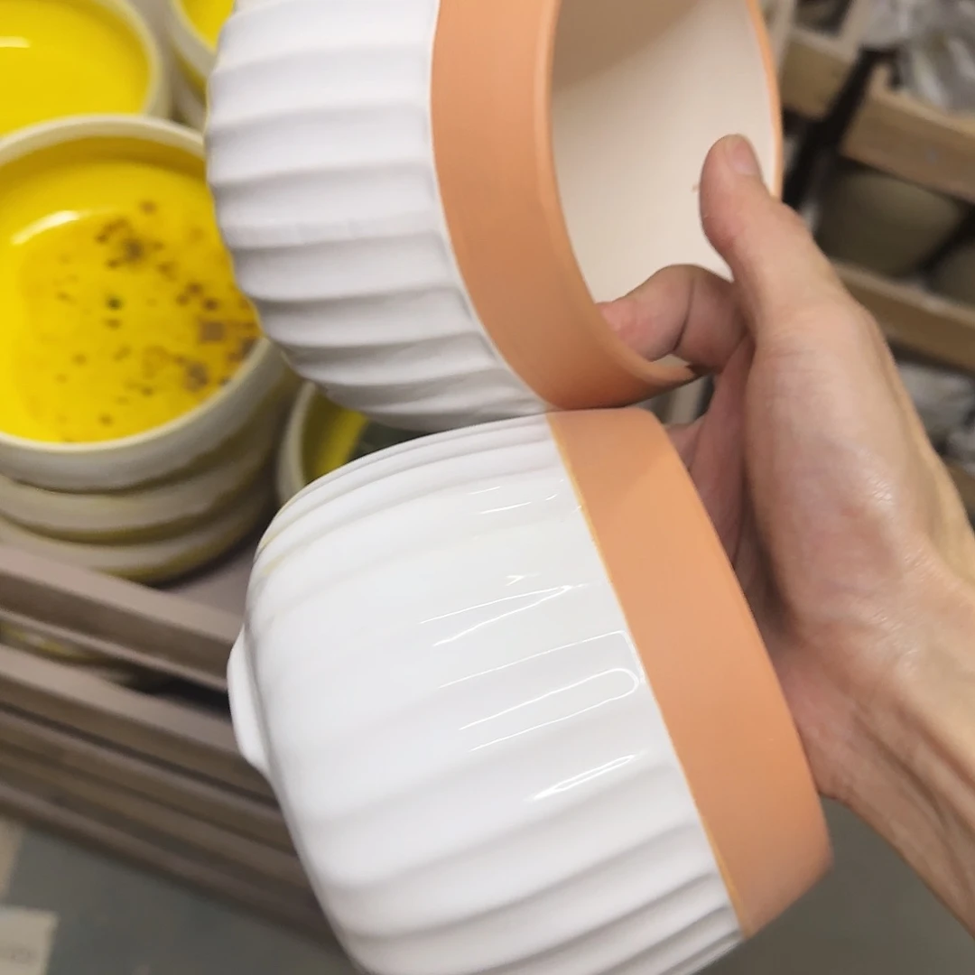 2个福利局［凑9元包邮24小时发］