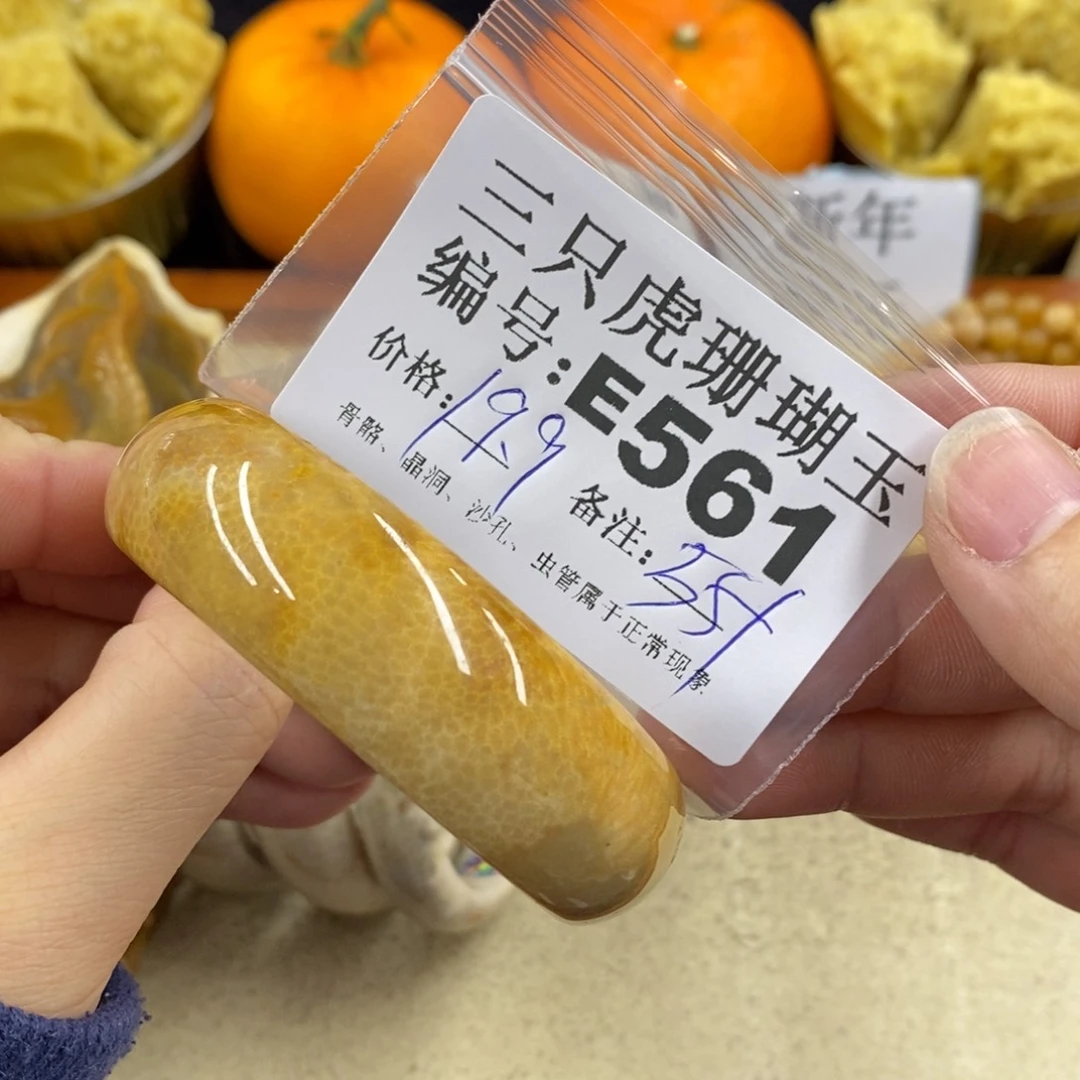 硅化珊瑚（珊瑚玉）1未镶嵌邹*