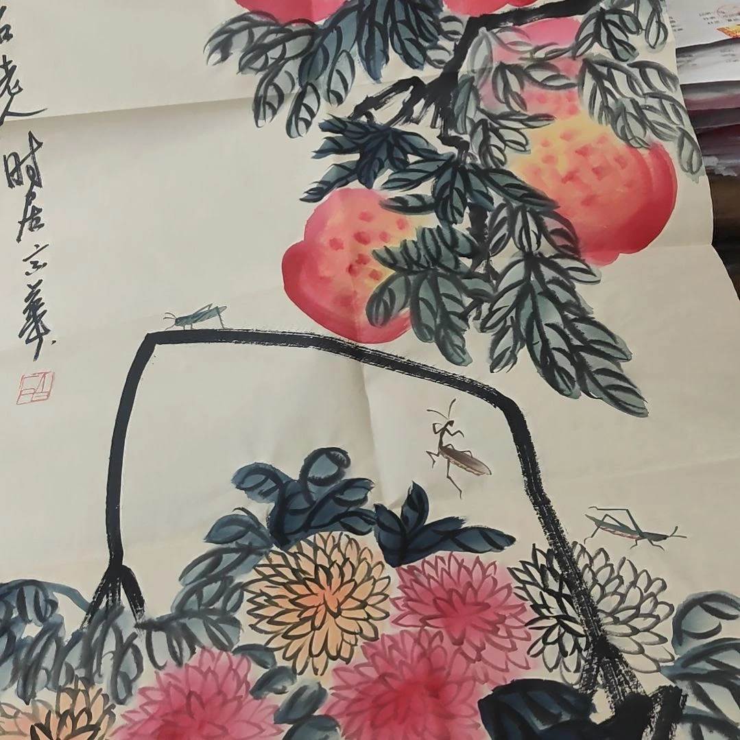 代拍链接以直播间物品为准