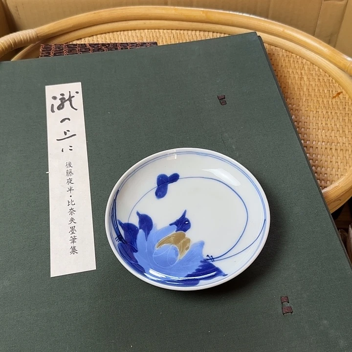 瓷片养****点点滴滴的点点滴滴