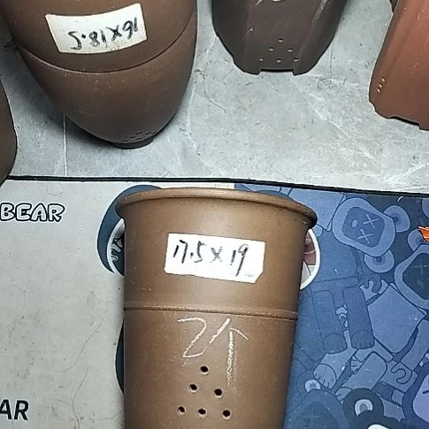 腰缠万贯两个微瑕