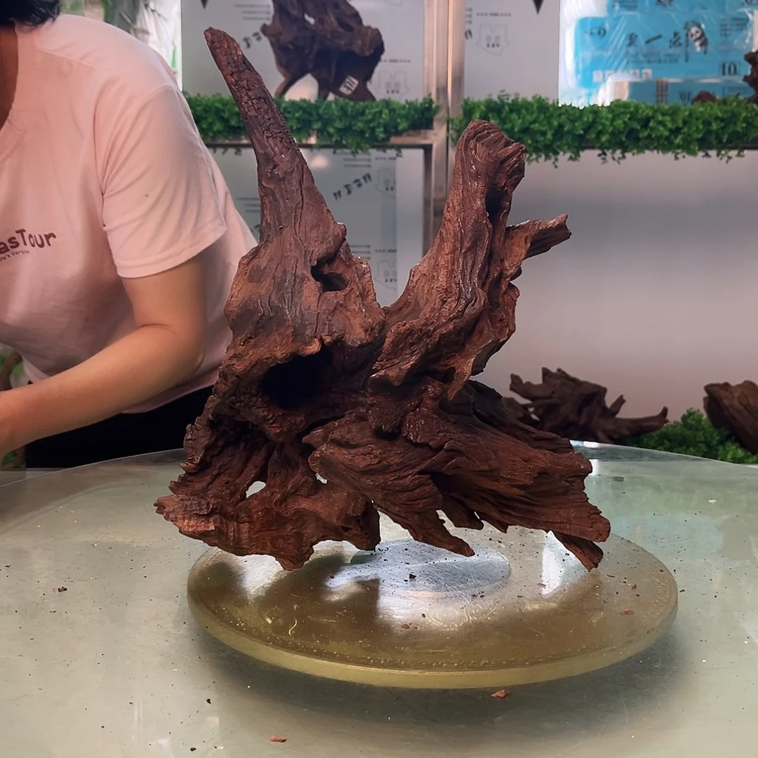 柚木沉木鱼缸造景