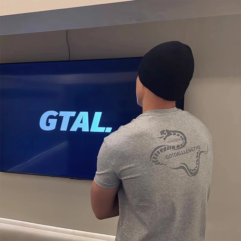 蛇年限定短袖男款夏季高级感美式痞帅小领口t恤纯棉重磅健身半袖