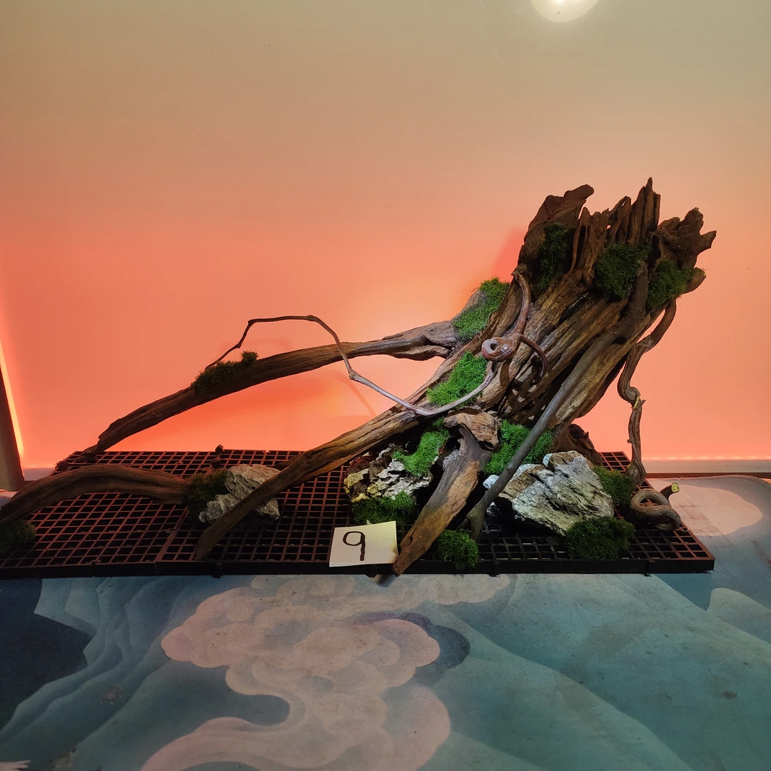 长41宽17高20  小米鱼缸可用 所见即所得送水草胶 鱼缸骨架