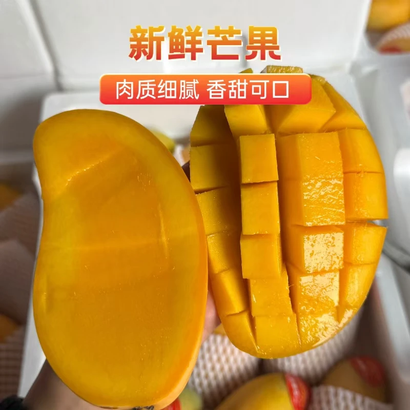 【周谷堆水果】水仙芒大果净重4斤装果肉细腻满分甜多汁新鲜（12）