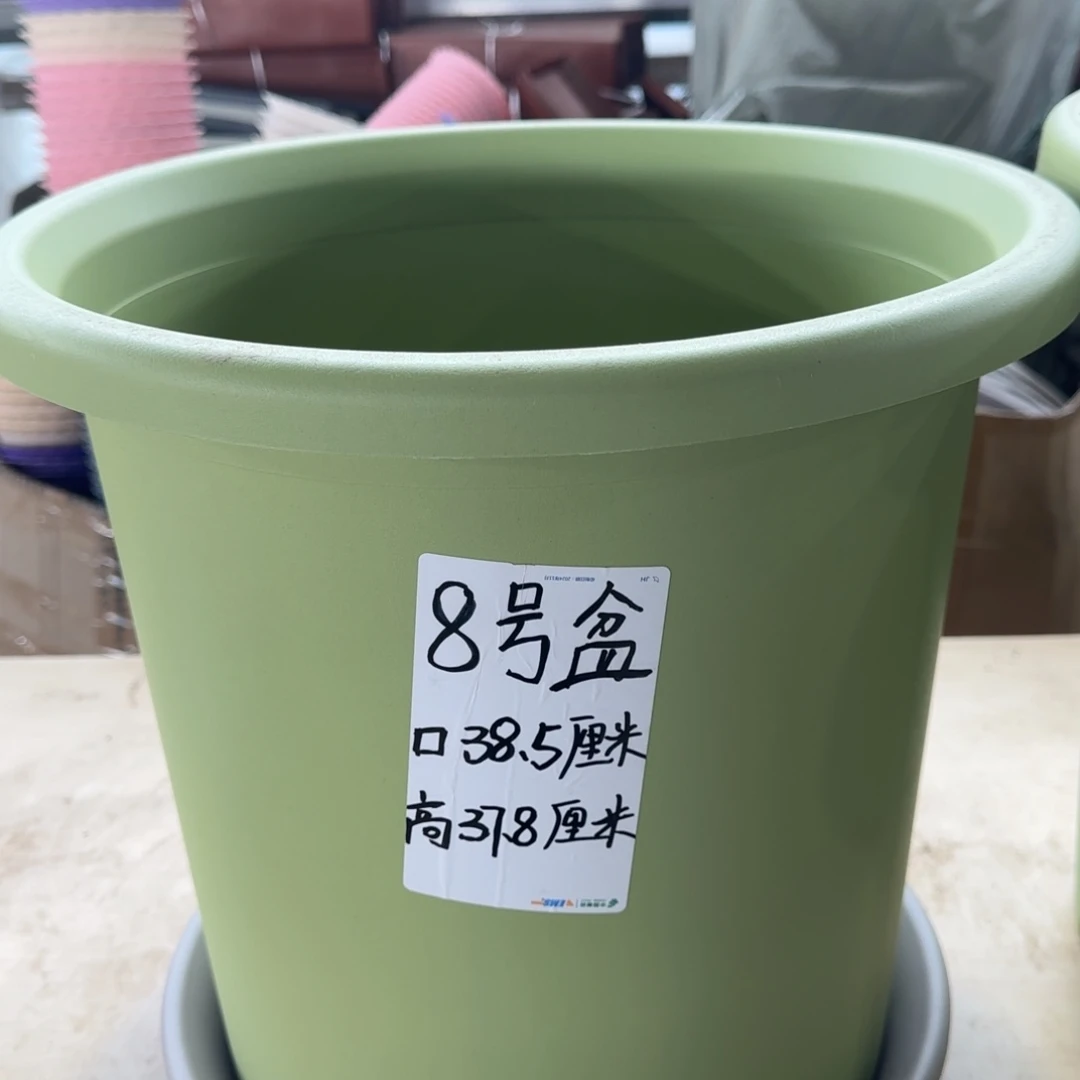 塑料四季8号果绿4个带拖