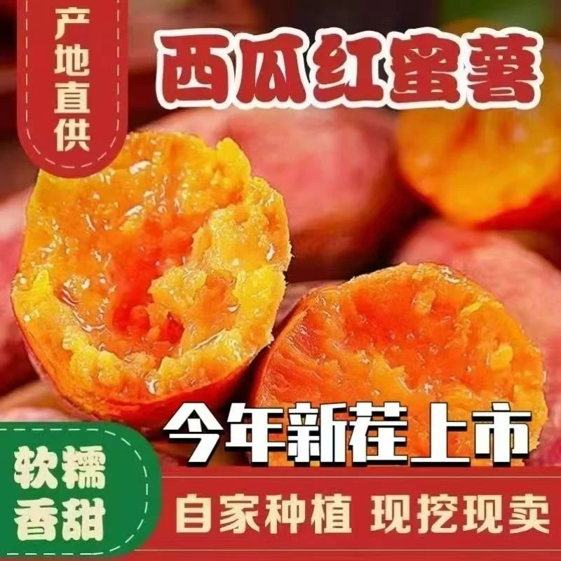 [正宗]西瓜红蜜薯西瓜糖心红薯新鲜现挖沙地地瓜红心番薯