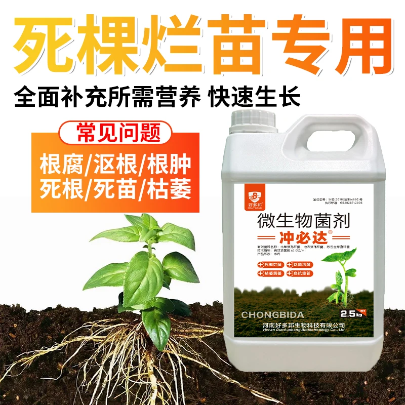死棵烂苗根腐抑制剂猝倒烂根茎基腐死棵僵苗快速壮根净化土壤抗病