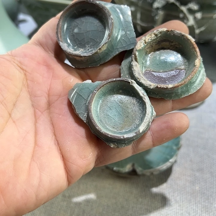 杯磁**生龙泉窑瓷片标本