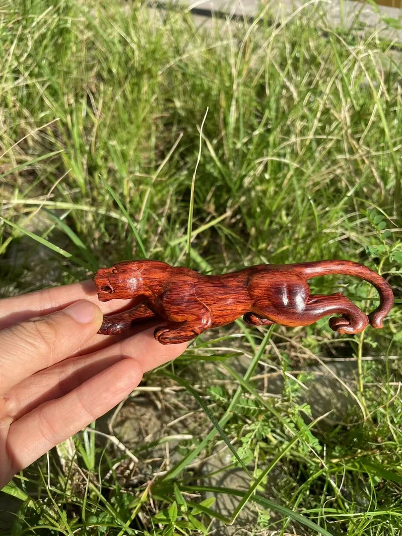 海南红降 一路豹发