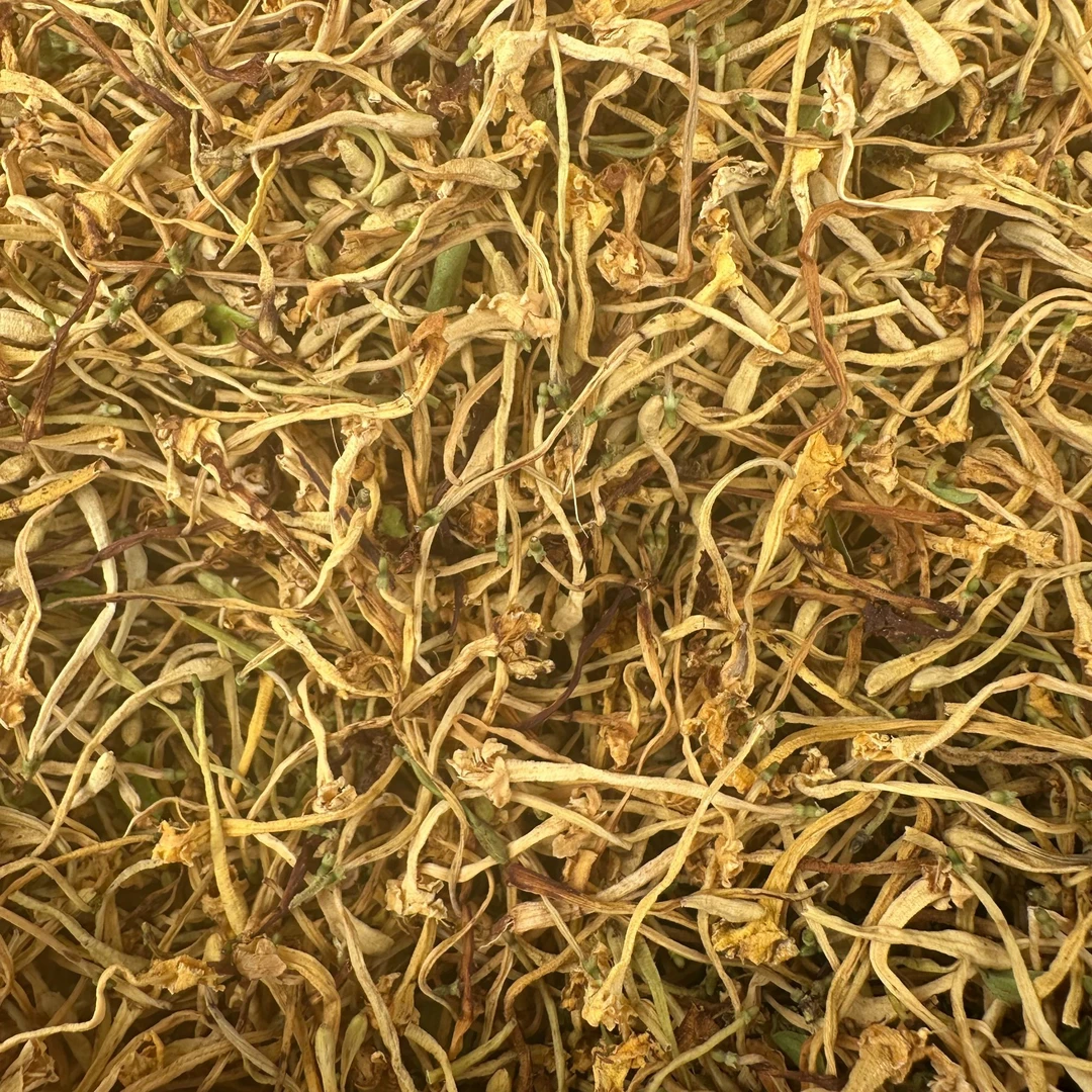 横樟   金银花泡水花茶煎煮内服