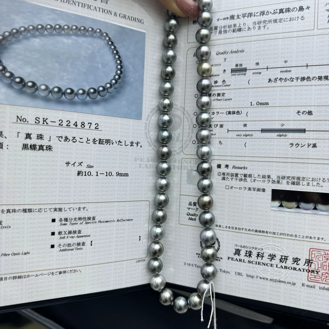 真科研 天然海水珍珠 大溪地全珠链4872