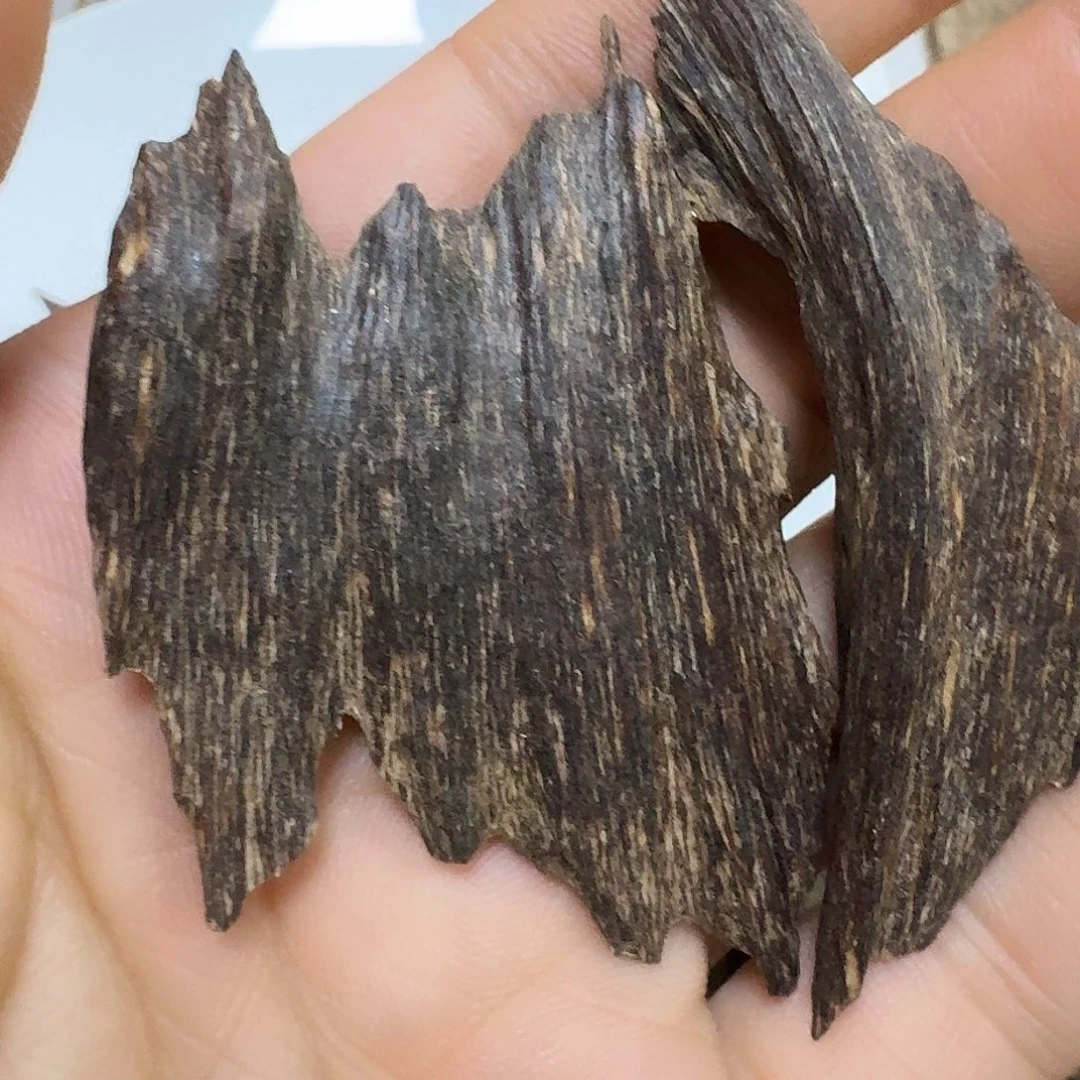 五***池沉香沉香碎屑海南沉香高油树心油虫漏7.4克