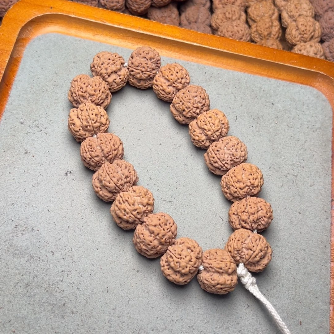 24号金刚菩提古龙梅花21