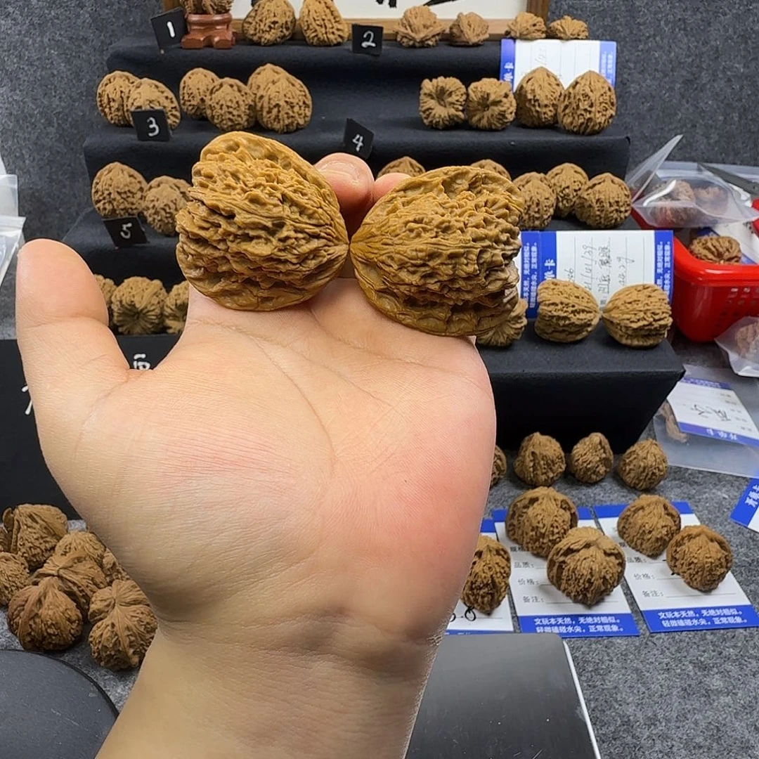 S***Y核桃45尺魔眼大蝴蝶