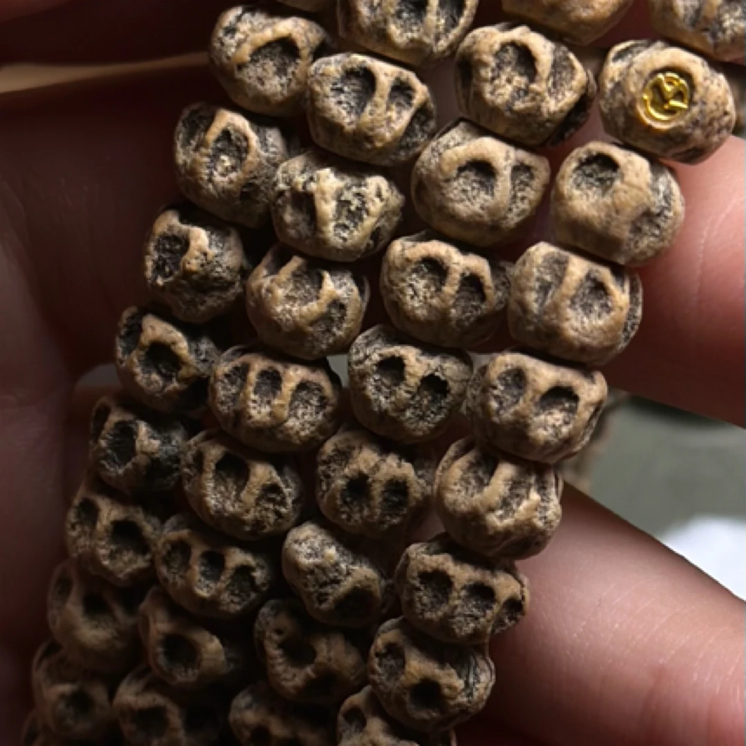 热振百香籽手串【魔瞳】大深坑狂野万鬼微磨热振柏香籽文玩