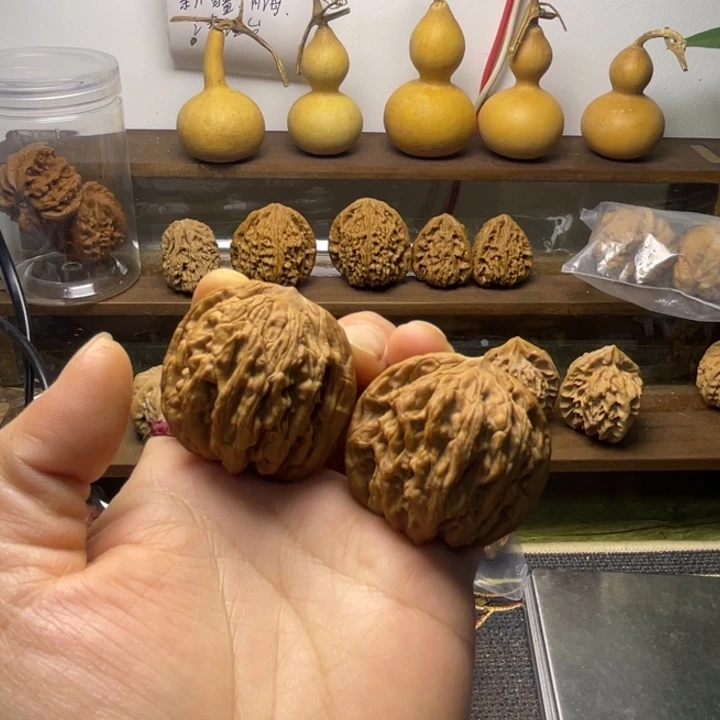 麦穗虎头全品42.39.40