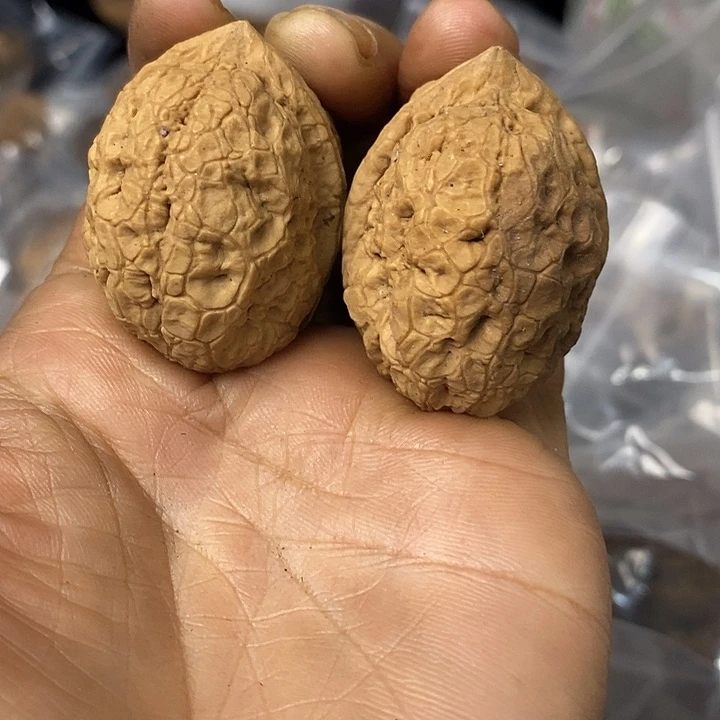 核桃云南铁核桃基地81
