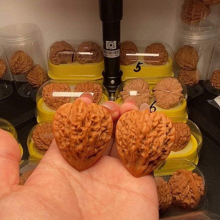 40高尖凹底龙门涧