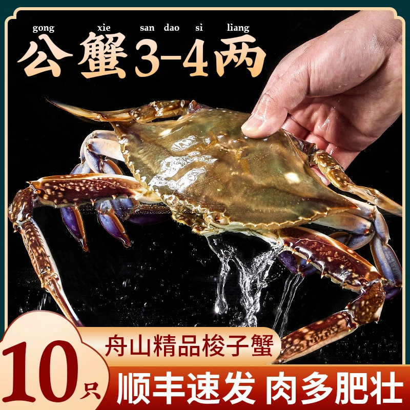 舟山梭子蟹4两左右10只鲜冻蟹海蟹鲜冻海鲜公蟹顺丰3斤左右【冻蟹】