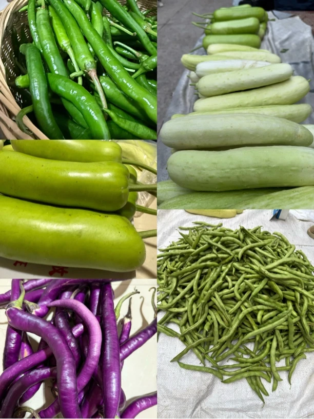 顺丰快递【农家蔬菜代买】以直播间实物为主