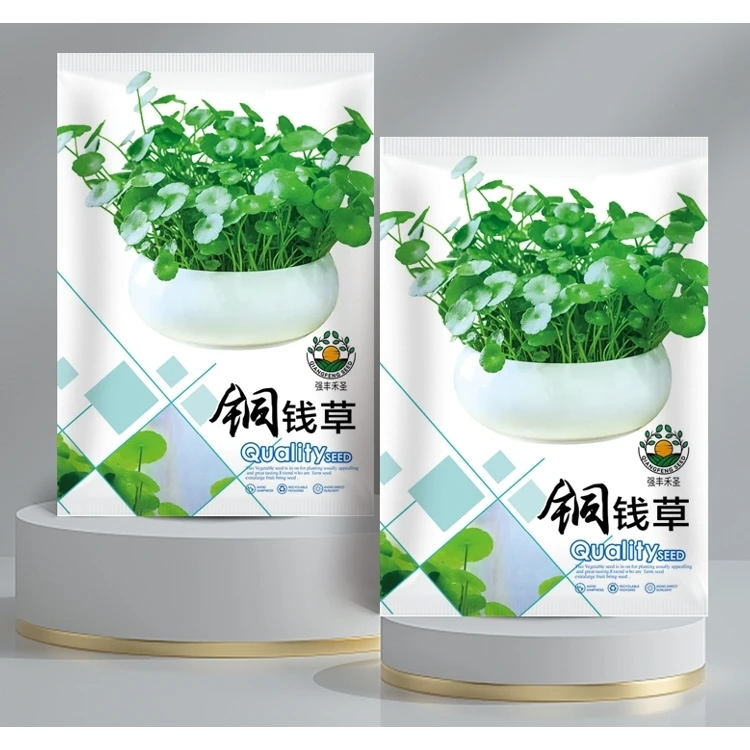 铜钱草种子（包装袋13x19厘米）每包约150粒左右【全店满4.9包邮】