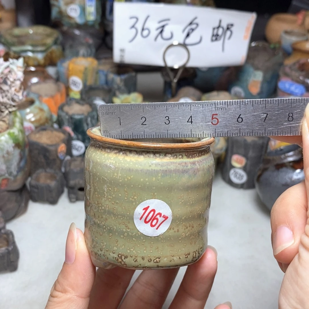 拍5送一个小礼物