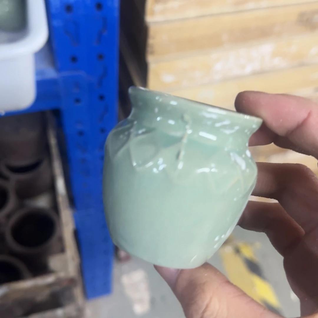 福利局绿植多肉盆［凑9元包邮24小时发］