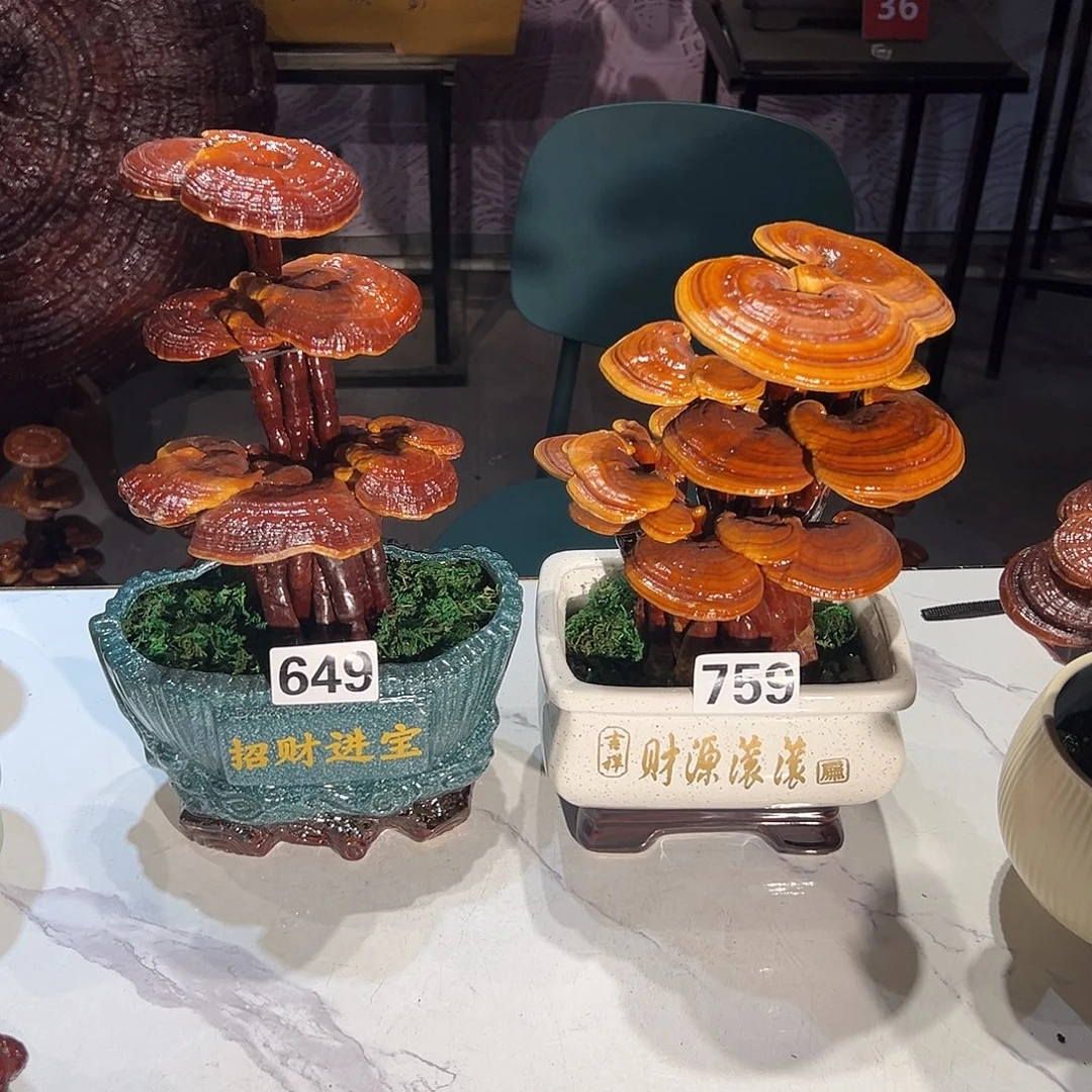 用***0无花朵88888888888