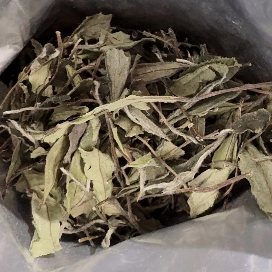 3号样品寿眉，是因为那