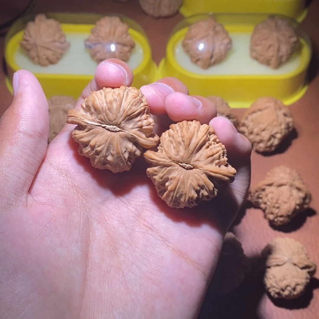 文玩核桃福利38白狮子