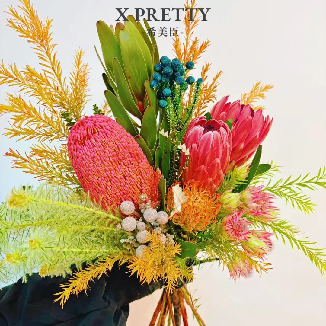 【莫奈】南非进口花 高档手捧花可做干花 花园 庭院 耐热 懒人 室外