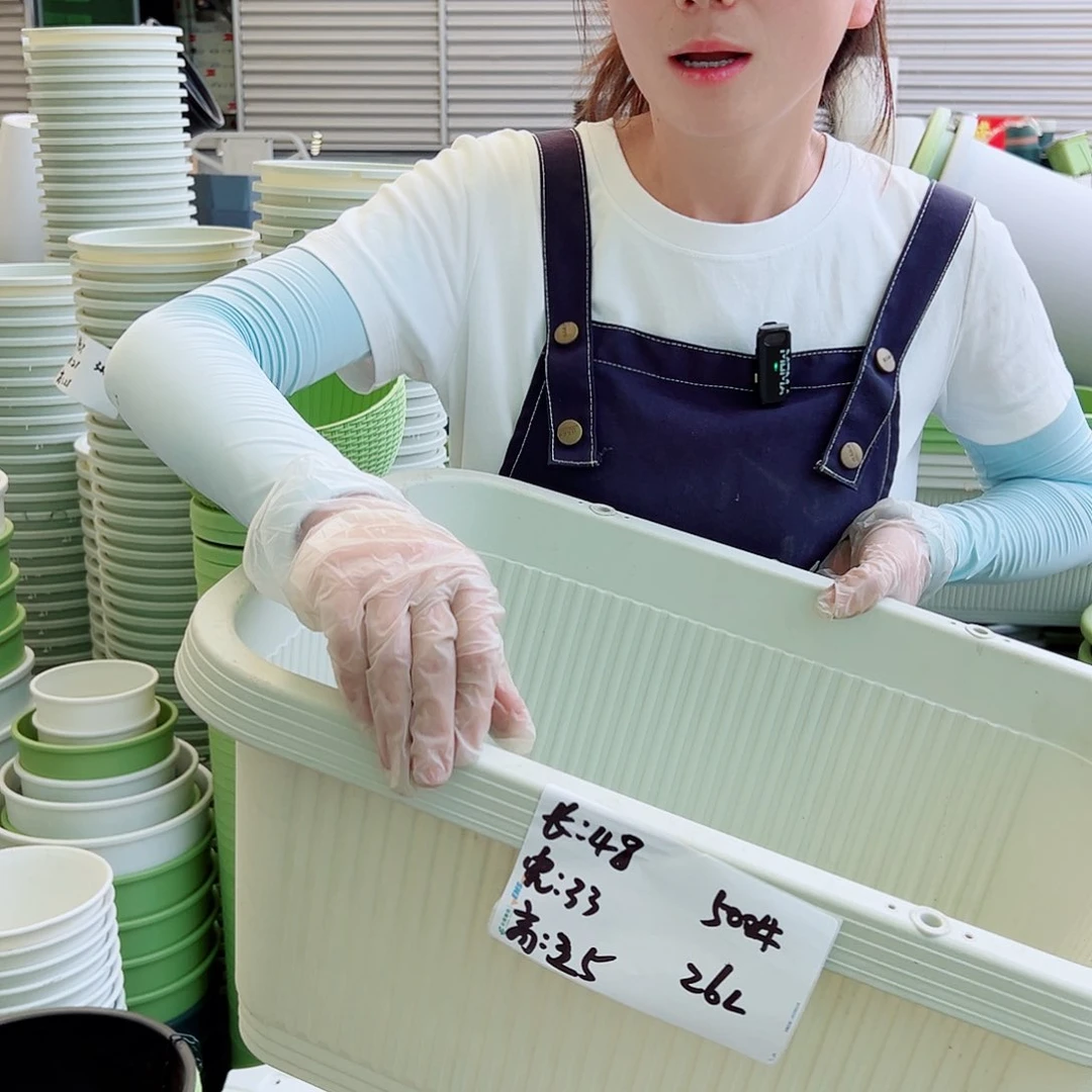 中野菜盆500米白3个无托