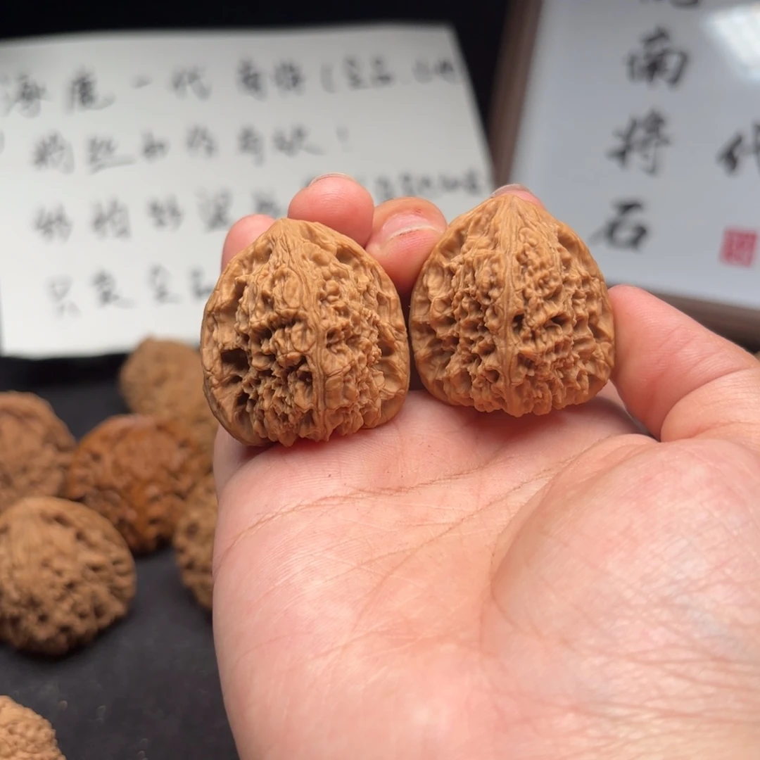 洛***墨核桃涿鹿南疆一代