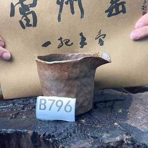 雷州遥公斗杯B 796