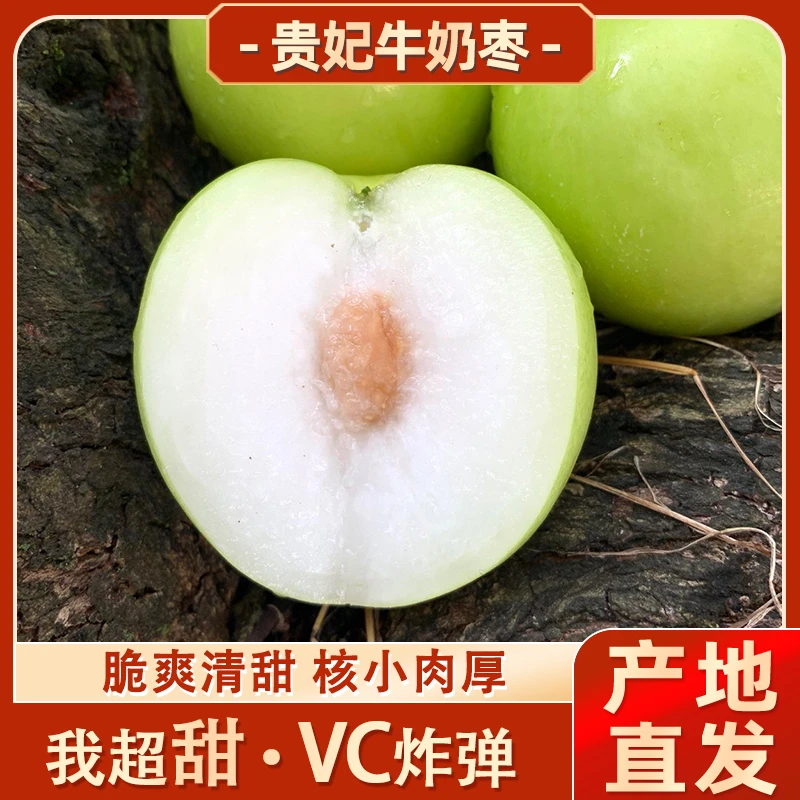 正宗福建贵妃牛奶枣冬枣大青枣现摘新鲜脆甜水果当季整箱