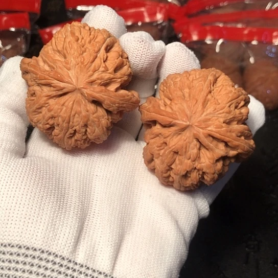 把件文玩核桃天残脚大粗筋50