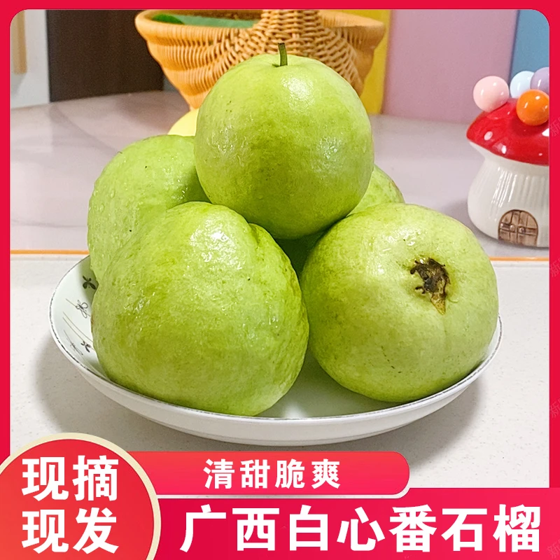 广西现摘现发脆甜白心芭乐新鲜番石榴大果脆爽3斤5斤热带水果整箱