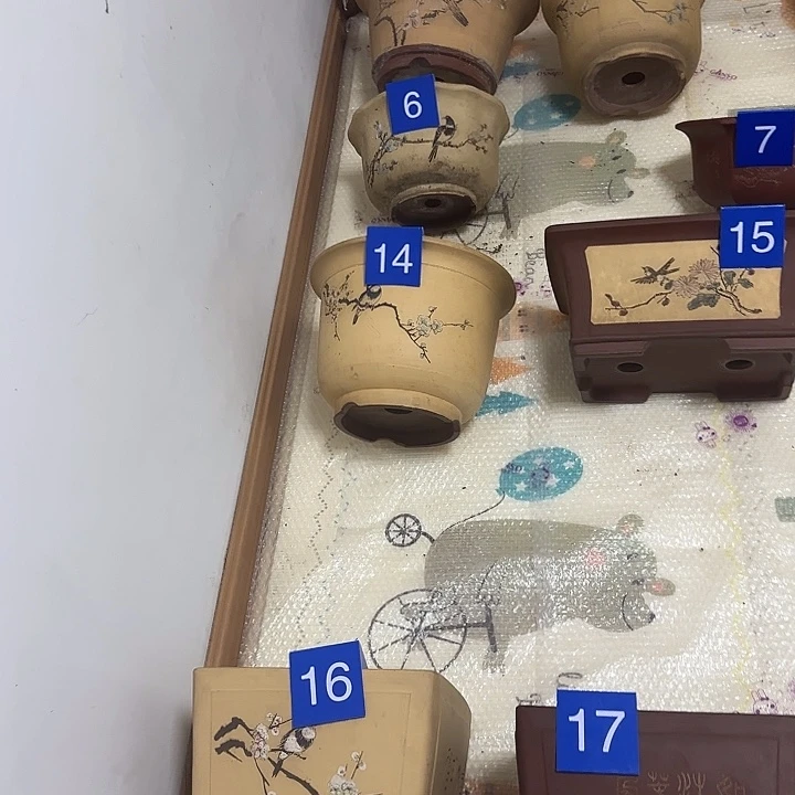 叮***0完全开放金钟花盆一个